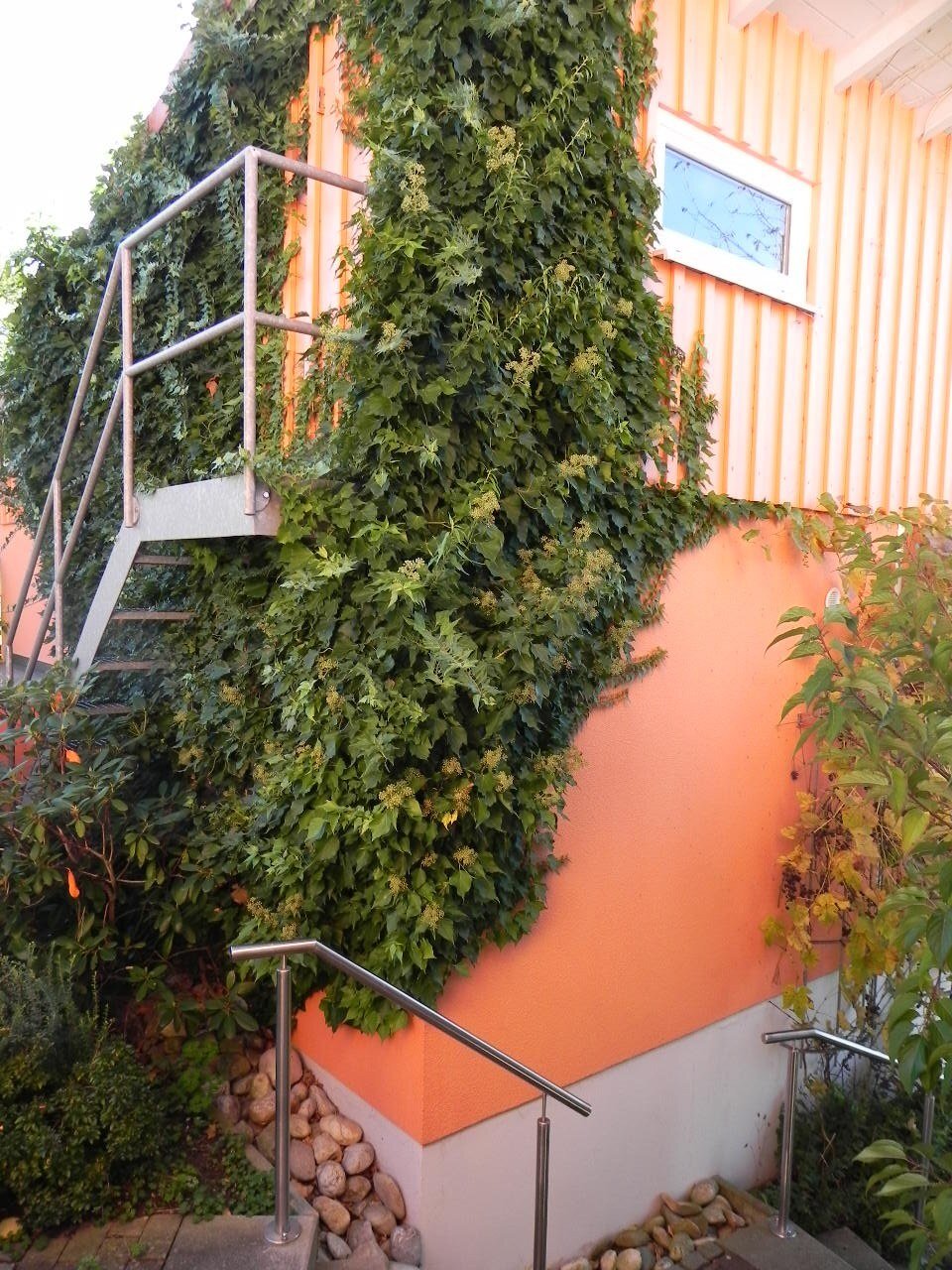 Garage Detail