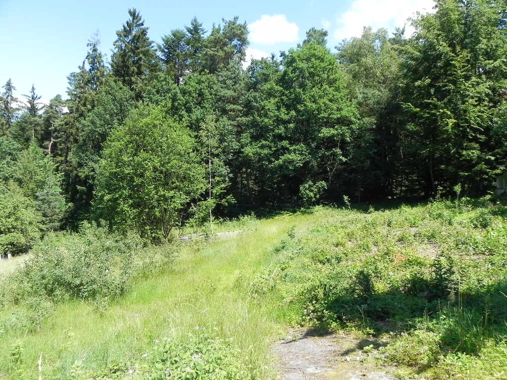 (2022) Blick vom Grundstück nach N