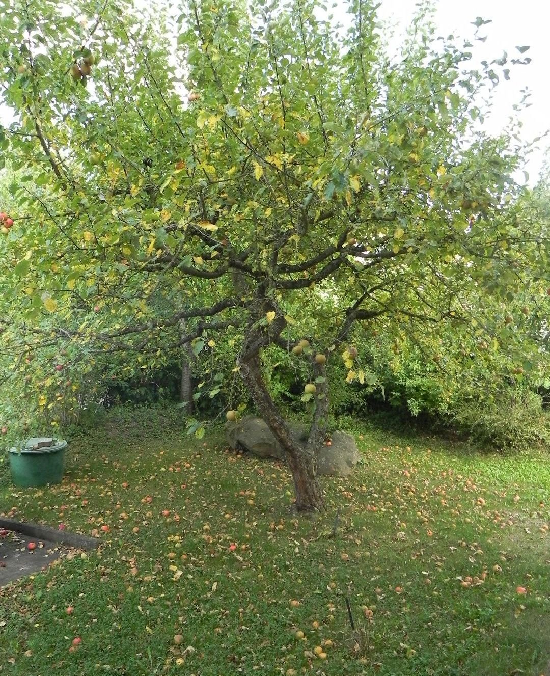 Impression Garten Impression Garten